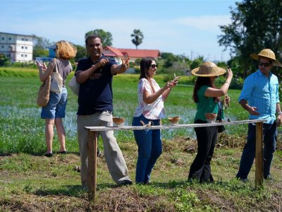 SS Rice News Convention 2025, Pattaya - Thailand